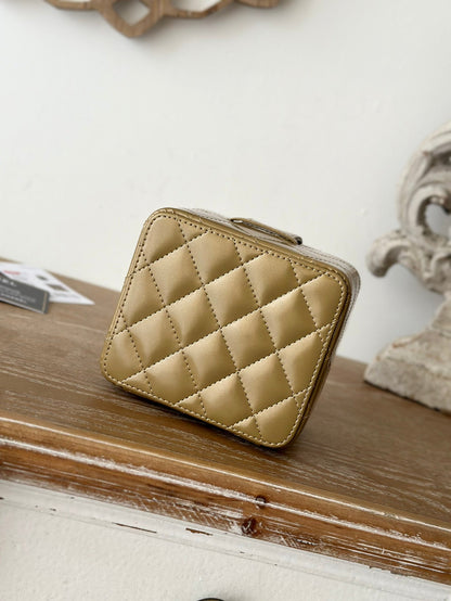 MINI VINTAGE COSMETIC BAG 11 IN CAPE PALLISER SHINY CALFSKIN GOLD HARDWARE